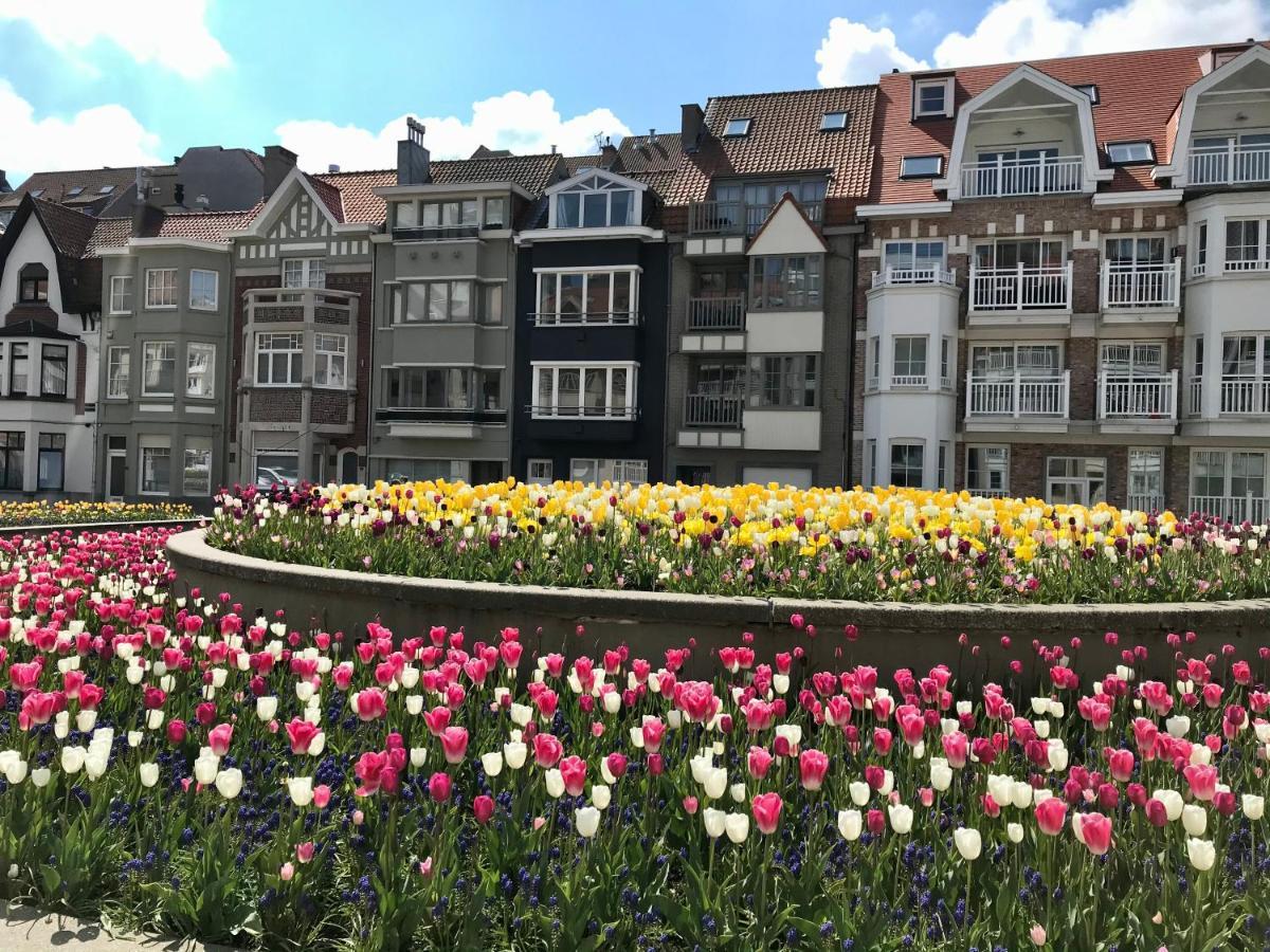 Appartement Giulia クノック・ヘイスト エクステリア 写真